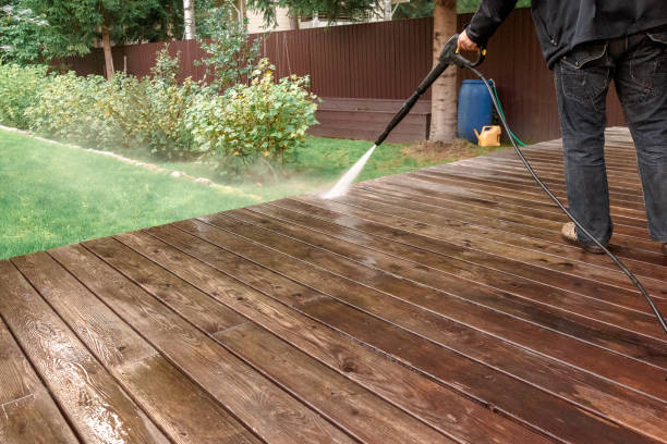 Best Gutter Cleaning  in Carmi, IL